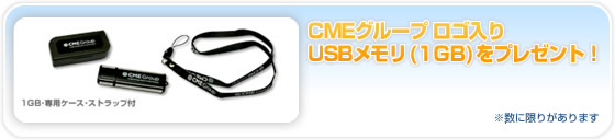USB�������v���[���g