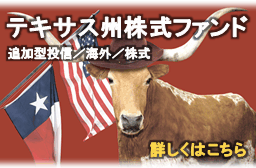テキサス州株式ファンド