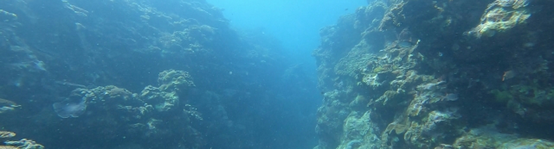 gt20240520_image01.jpg