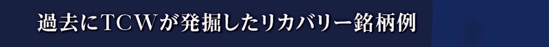 nissei_sp500_image10.jpg